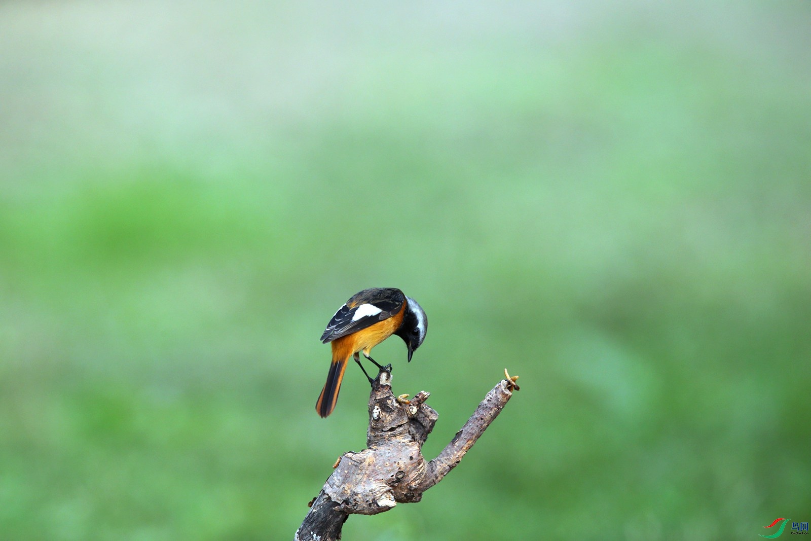 DJ4W1004.JPG