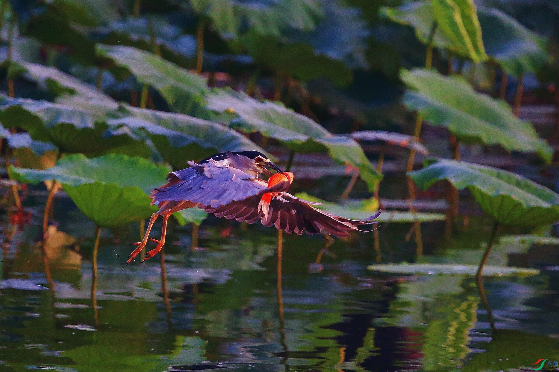 1Y0A6300_����.jpg