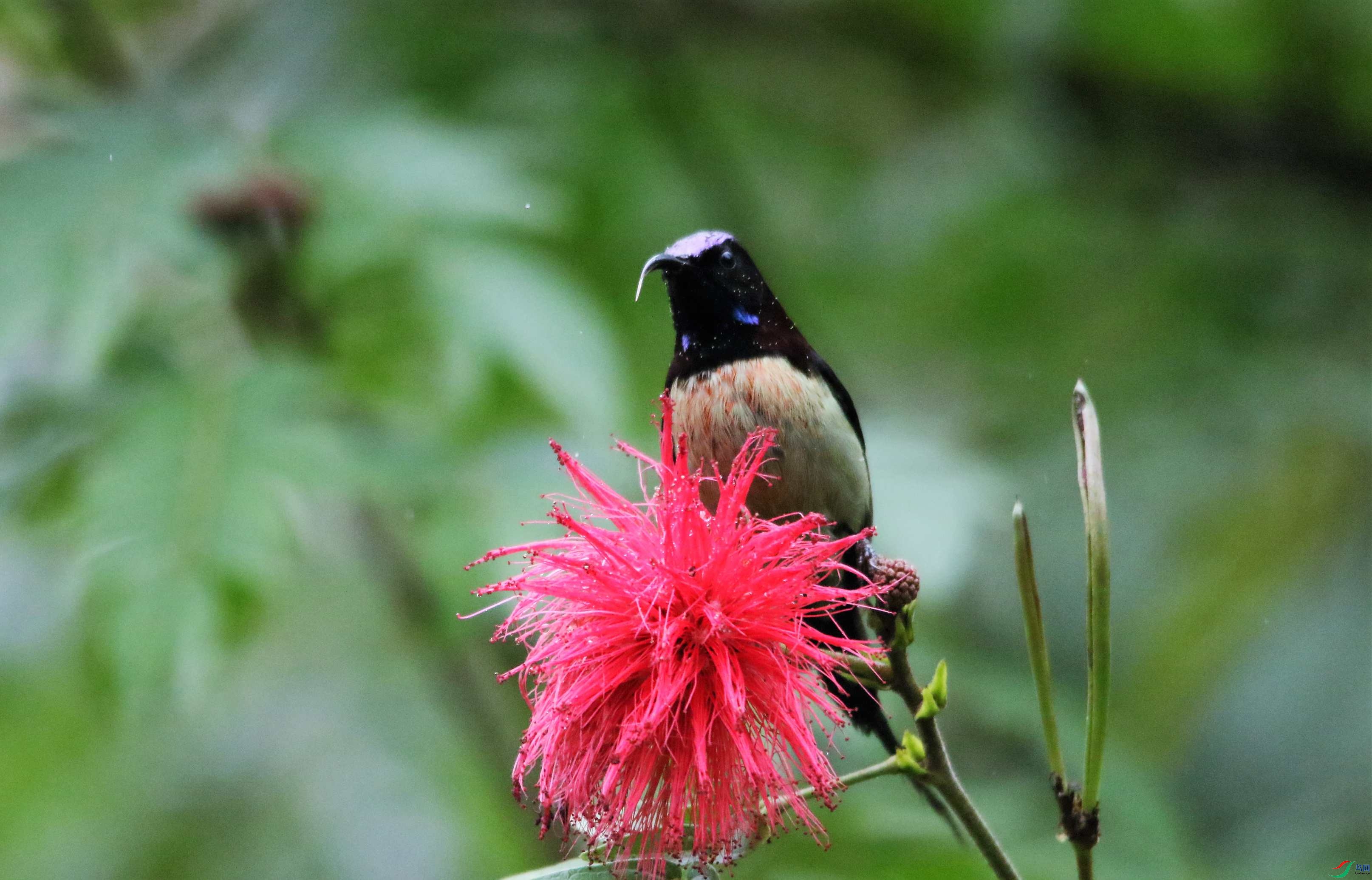 ����̫���� (93).JPG