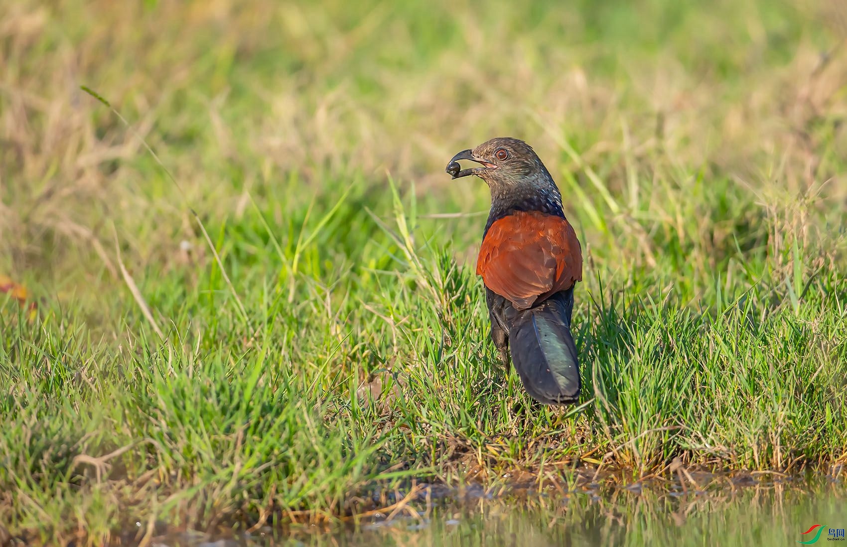 DSC_4197.jpg