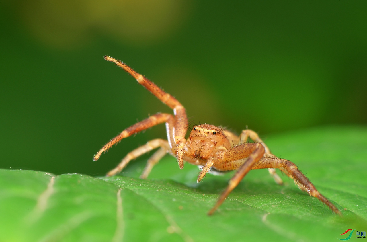 DSC_3962 ����.jpg