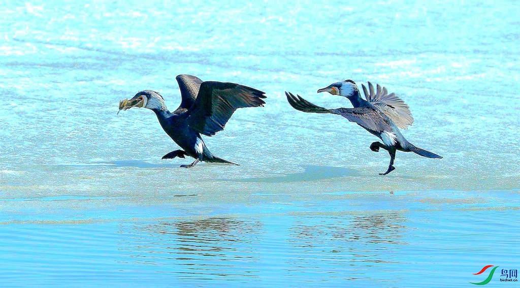 AG1I6080_����_����_����.jpg