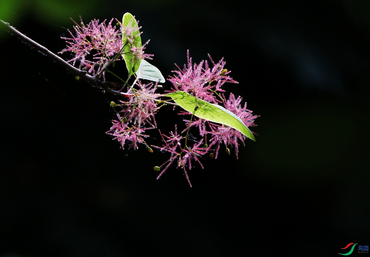 IMG_8353.JPG
