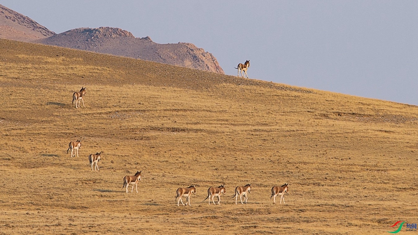 XCG_0180 (2) - ����.jpg