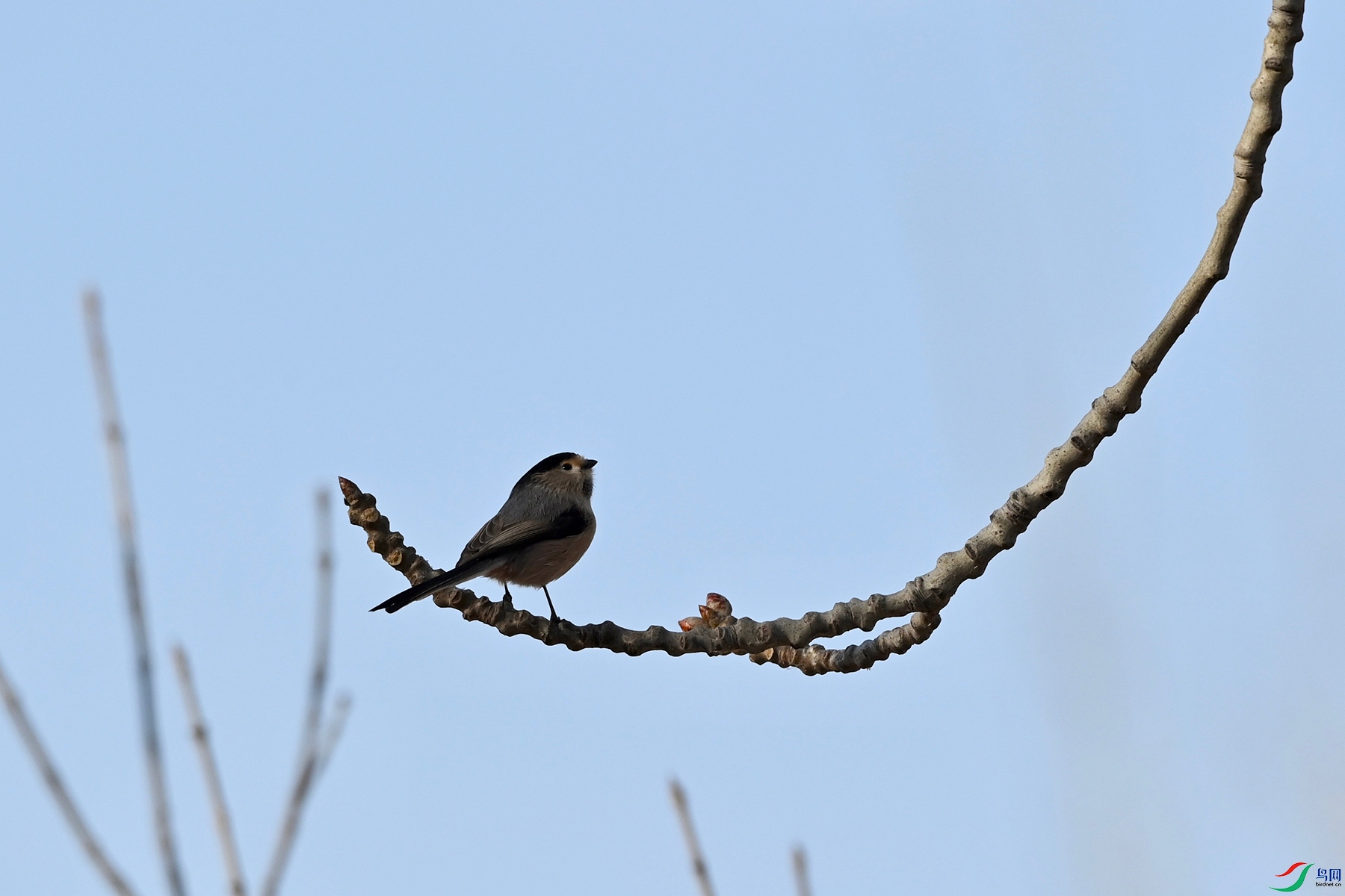 DSC_3583.jpg