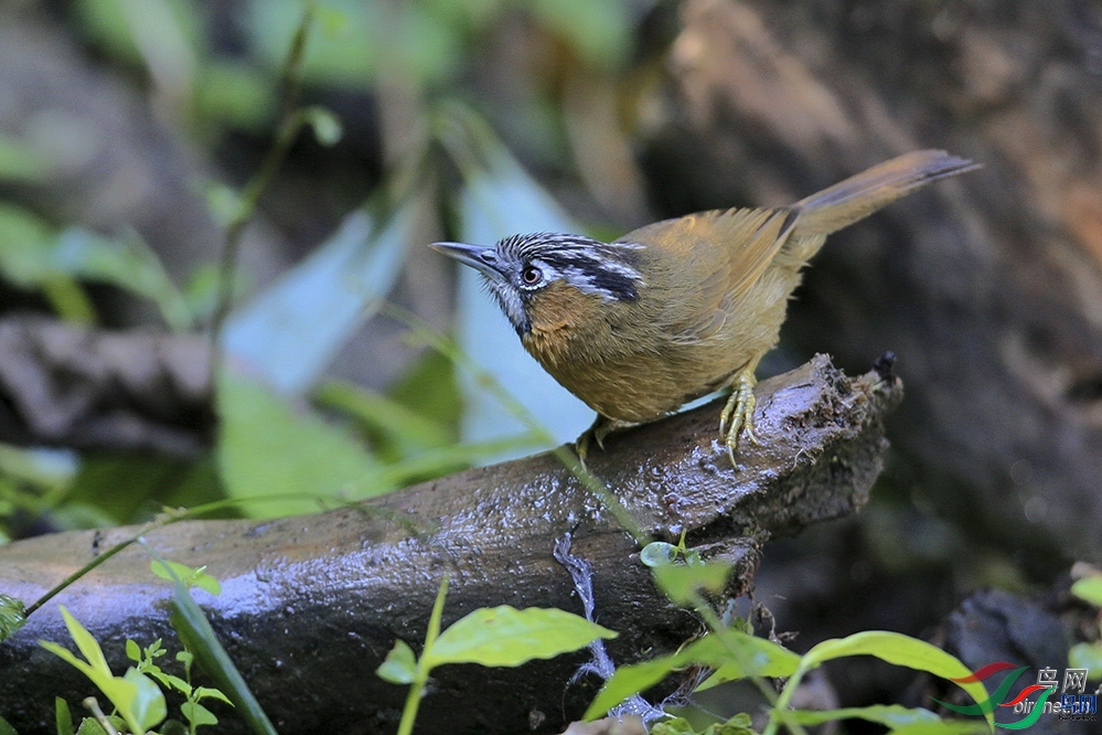 �������@@86ii (2).jpg