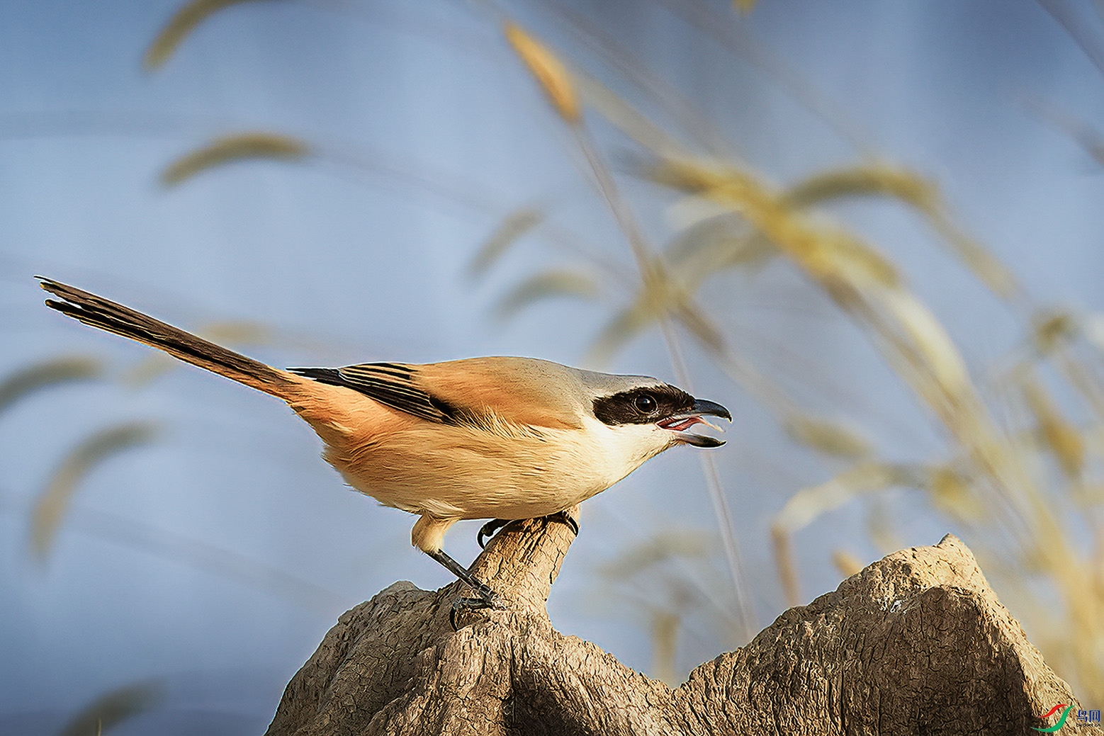 ������֣���лݼ�����