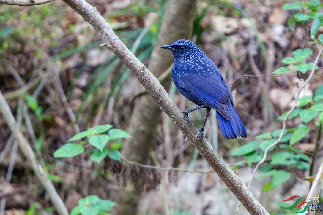 ��һ  ��ʦ�����ڸ���ʡ������.jpg