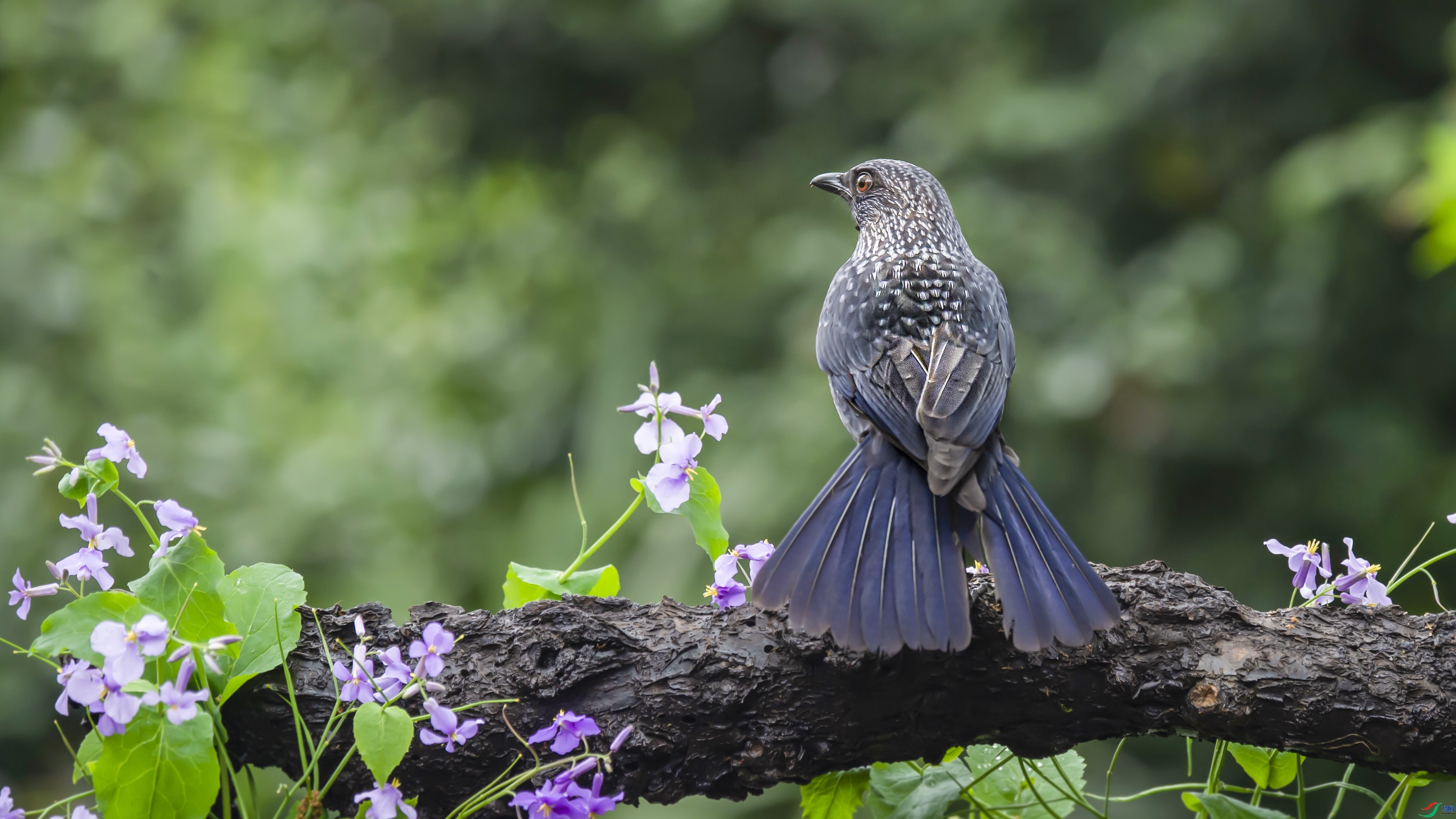 �������һ��ǣ  ��ʦ�����ڽ���ʡ�Ͼ���.jpg