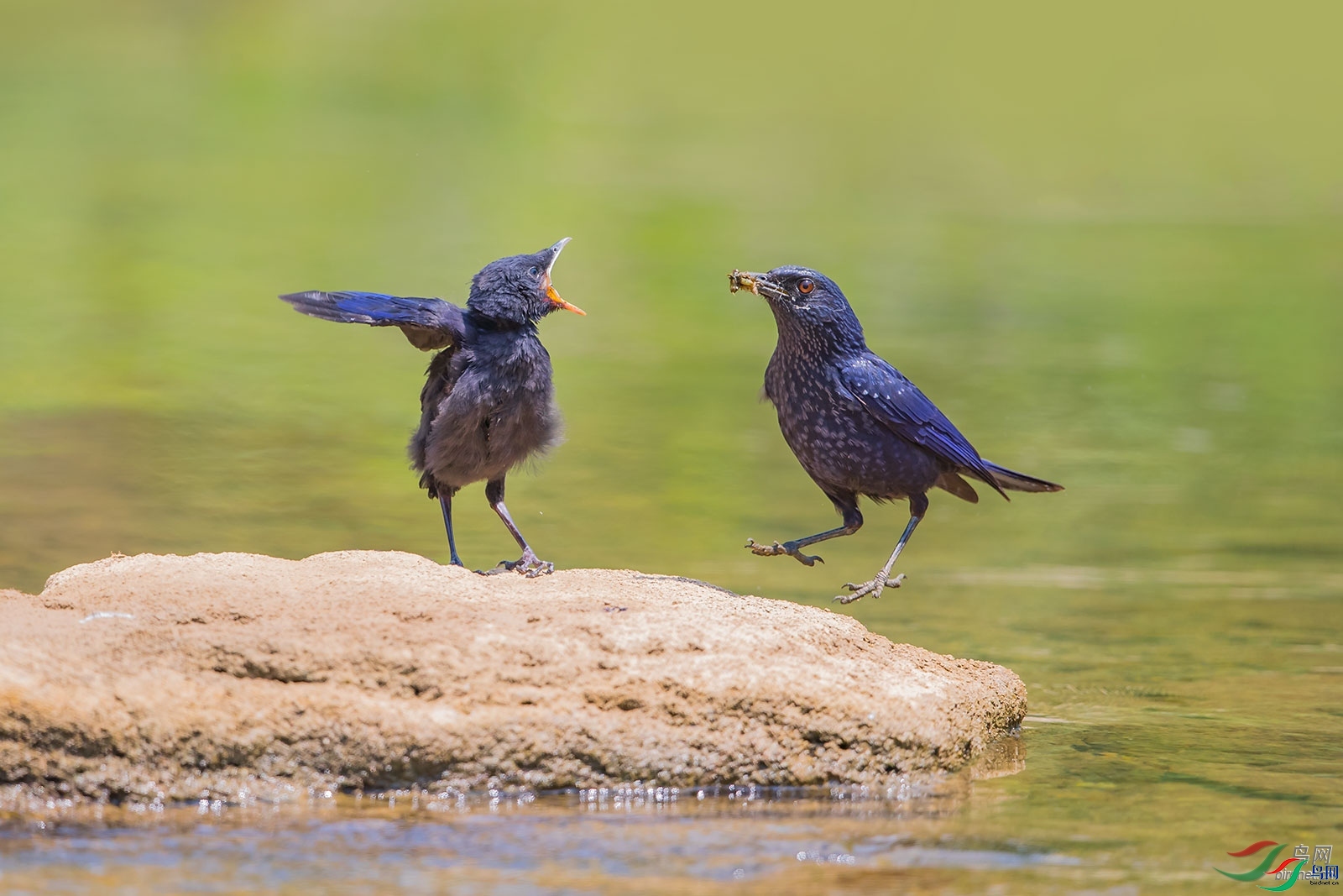 κΡ���� ��ʦ��������ʡ����������.jpg