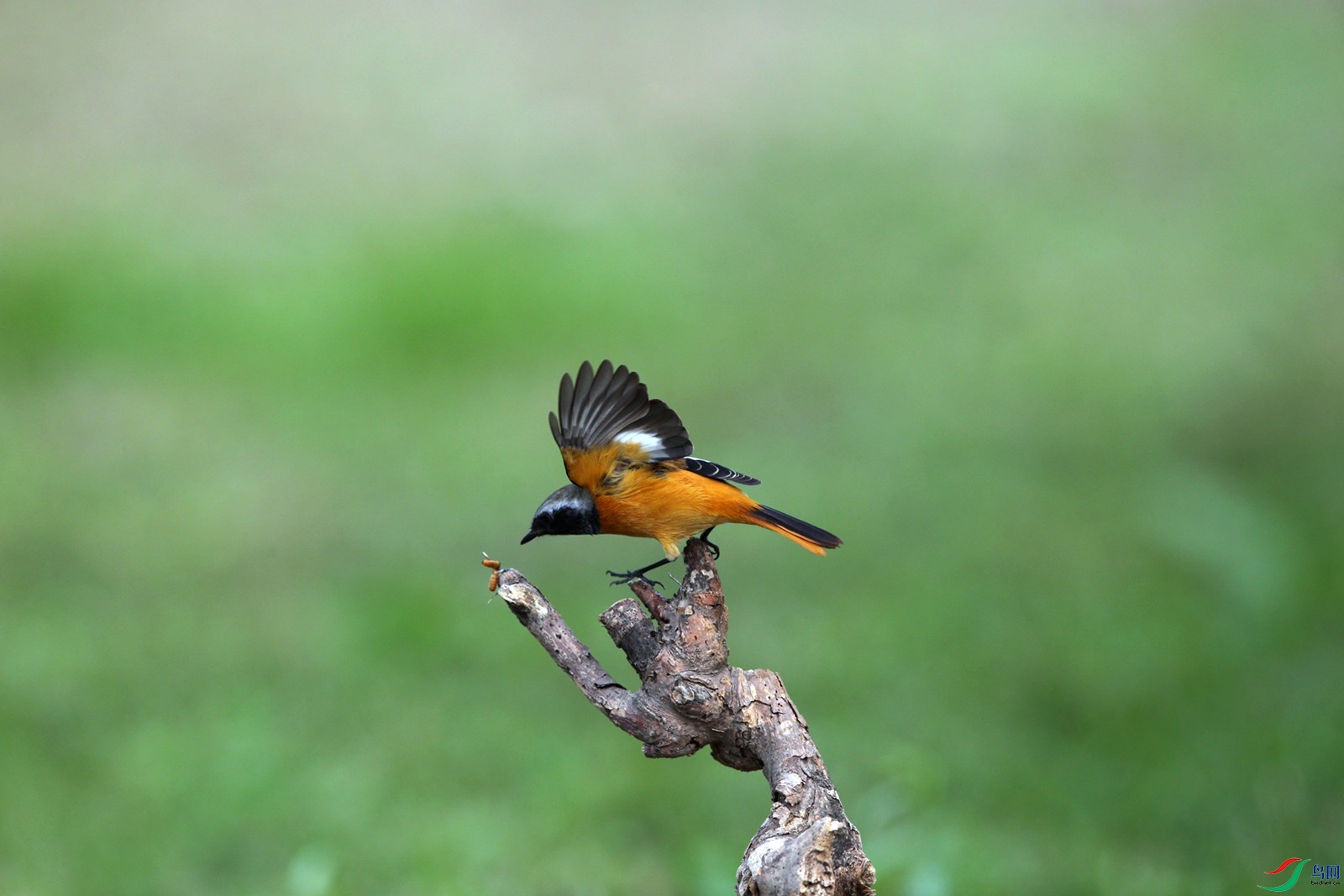 DJ4W0909.JPG