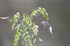 _C5R3511_���� - ����.jpg