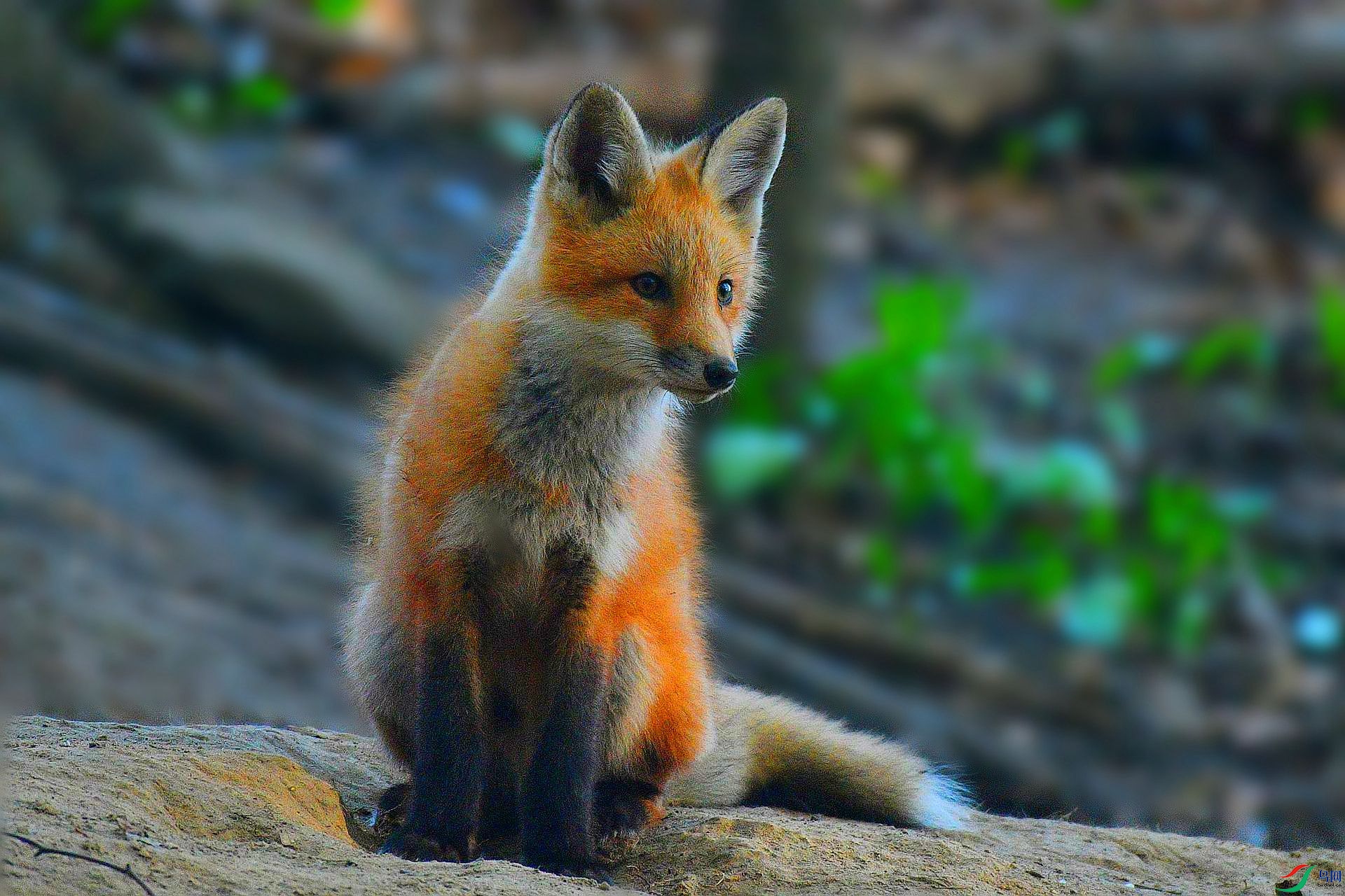 DSC_5554_������Ƭ_����.jpg