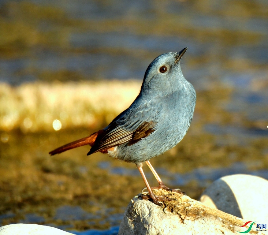 MYG_7005.JPG