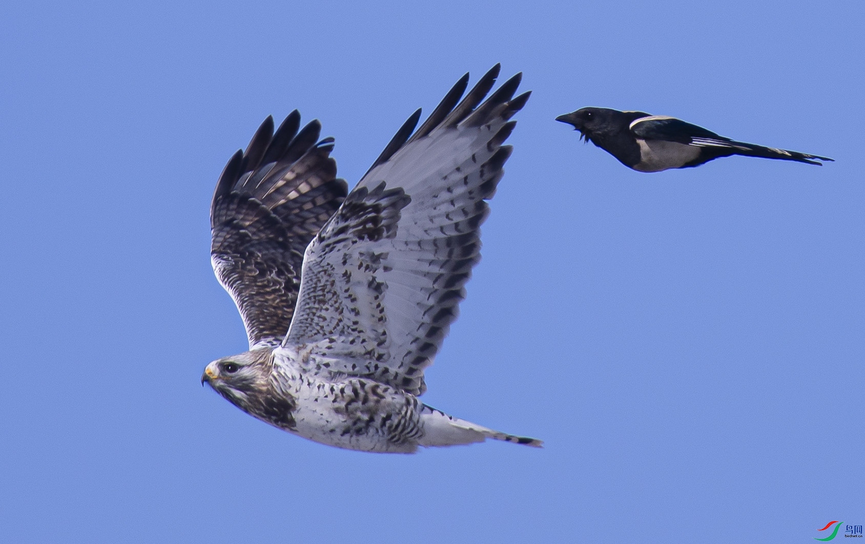 DSC_7784.jpg
