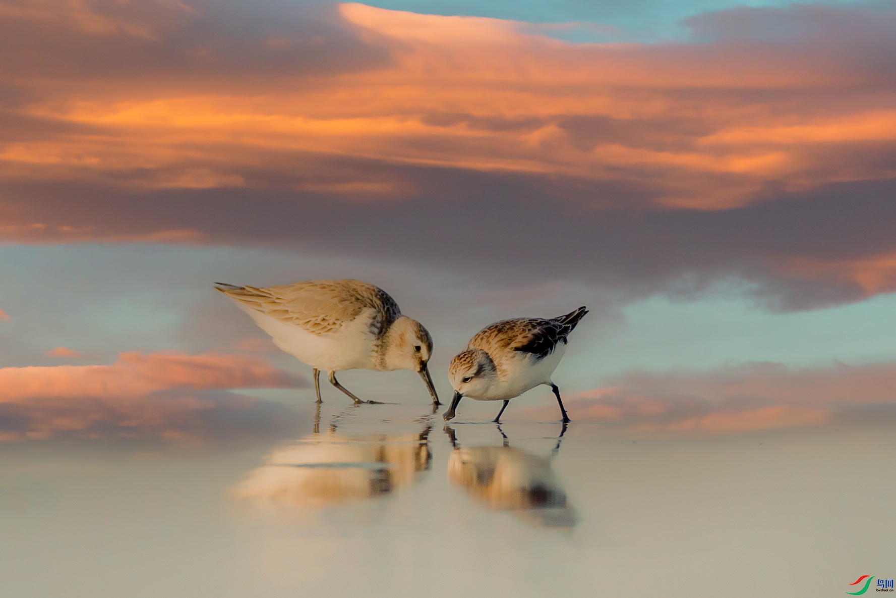 111249hkv55hqbtz0whmp6 ����.jpg