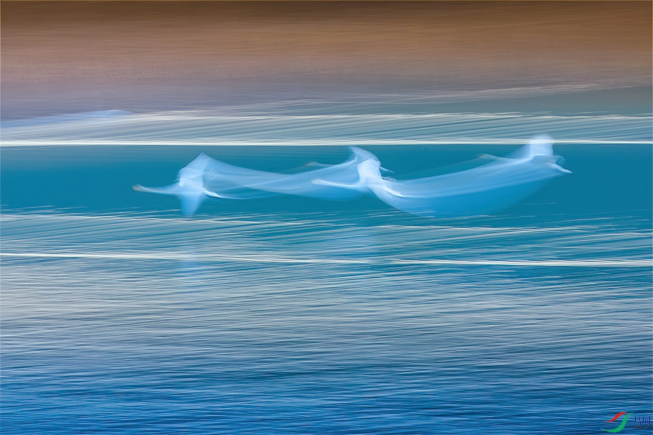 802A0507-1 ����_1.JPG