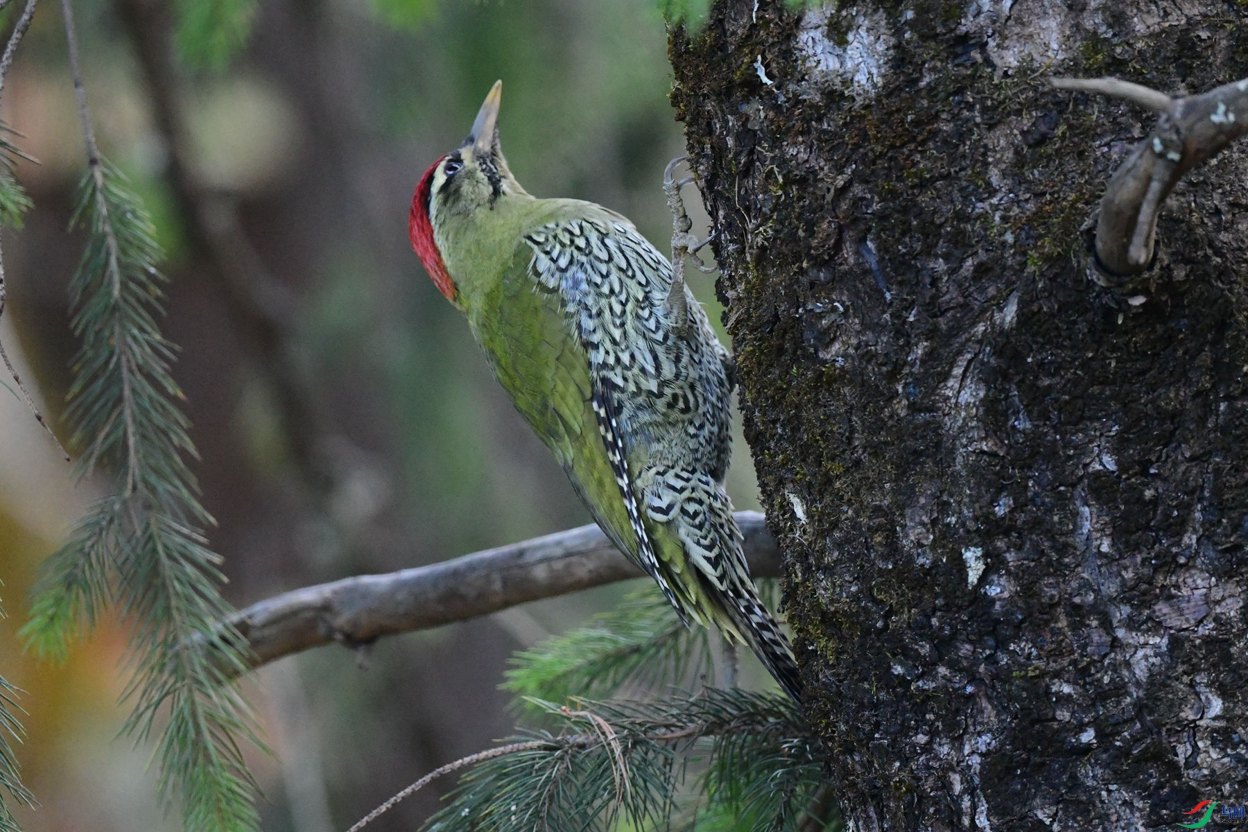 DSC_2271_��.jpg