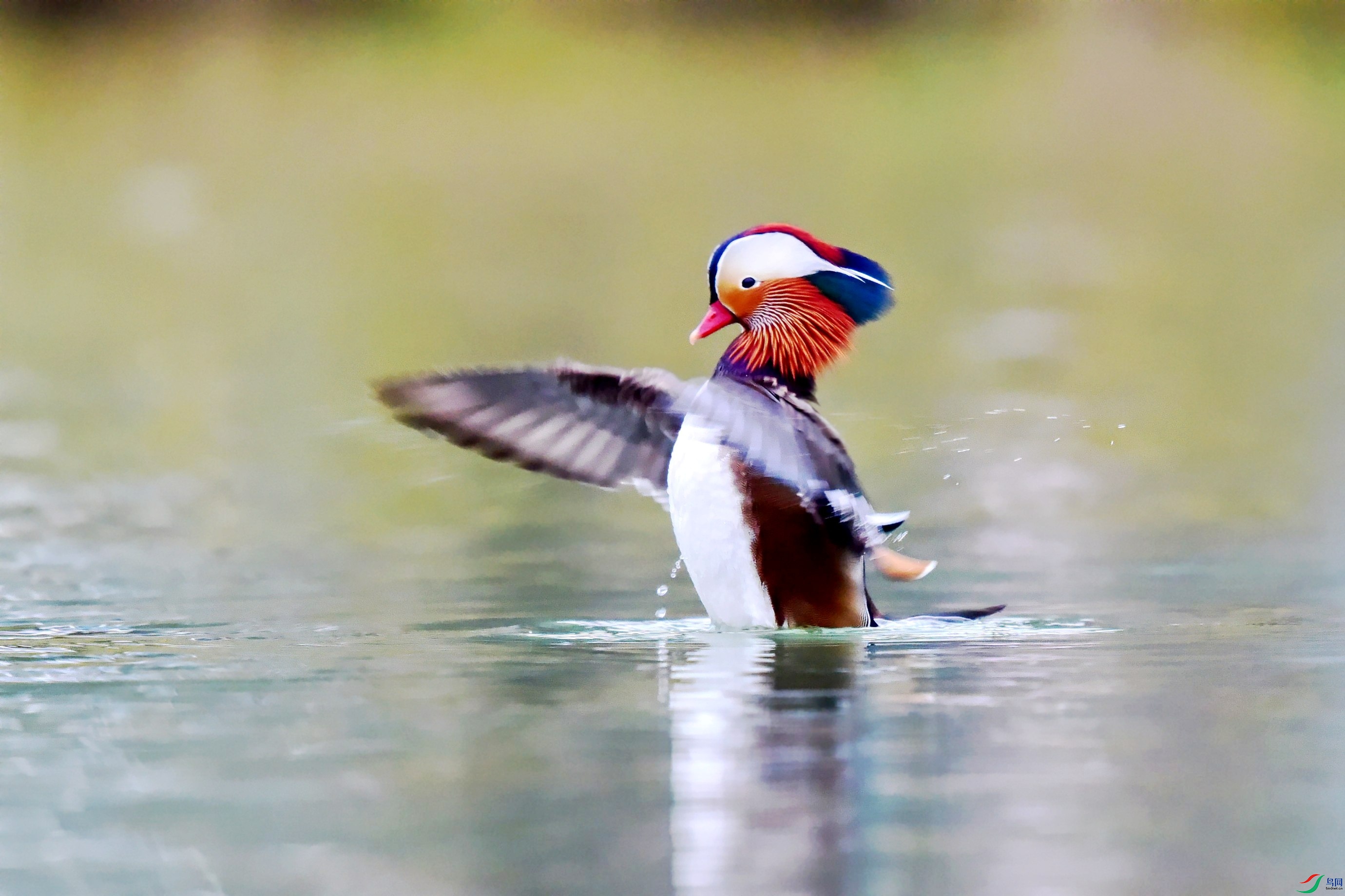 DSC_9907_conew4.jpg