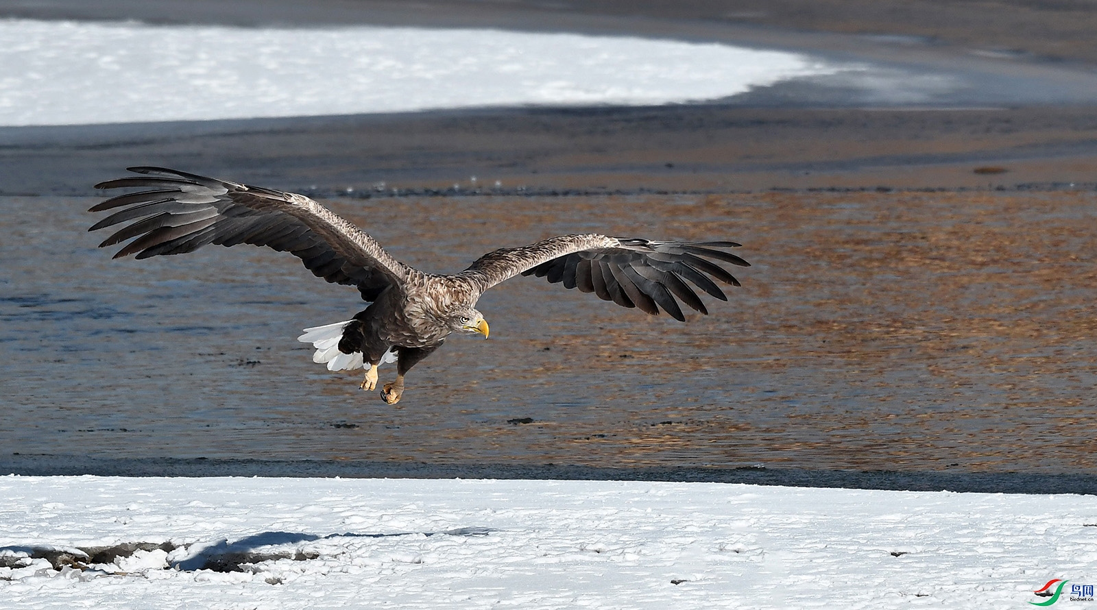 DSC_6146.JPG