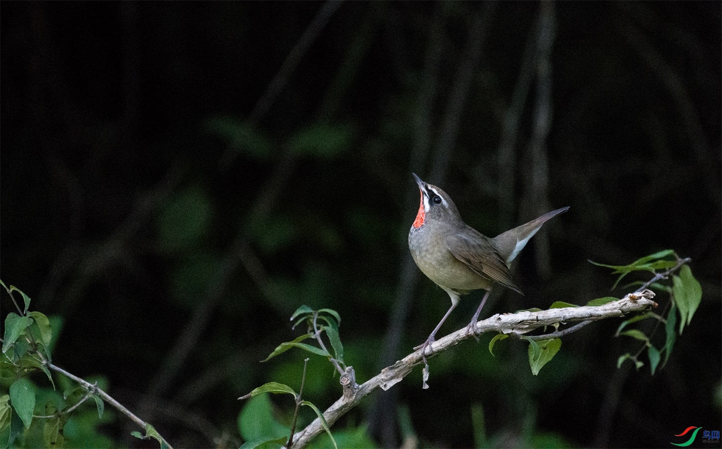 DSC_6992.jpg