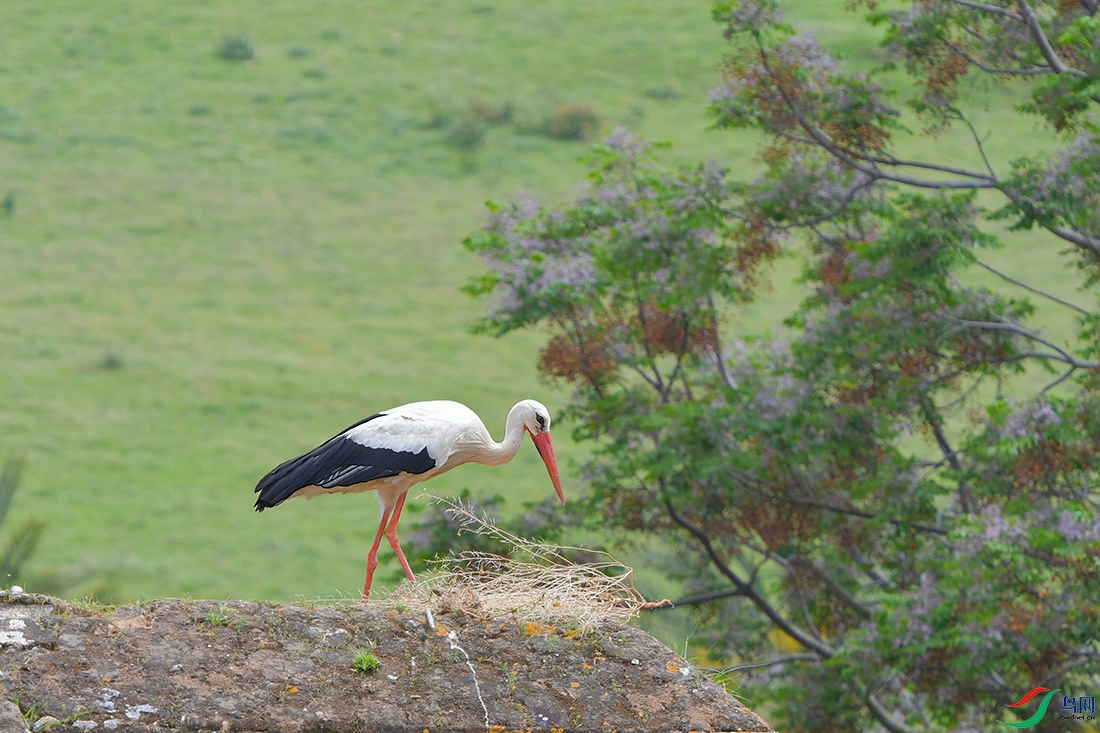 1DSC_0067_DxOa.jpg
