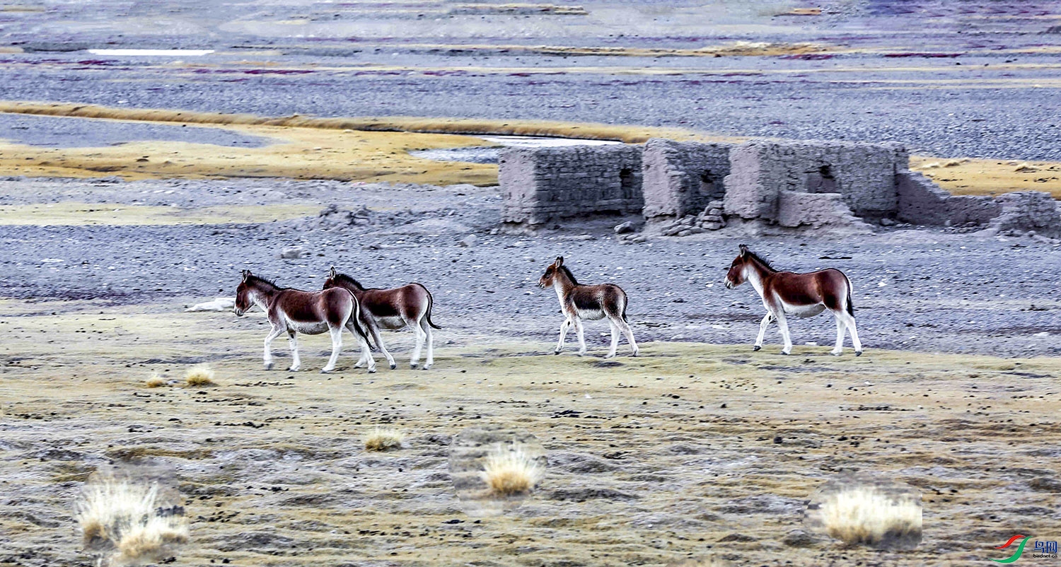 2021��10��30������