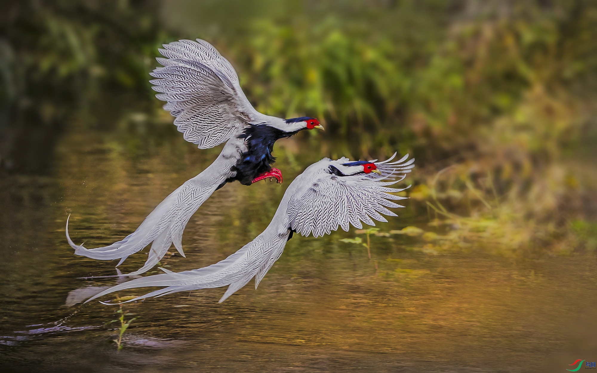 bx1.jpg