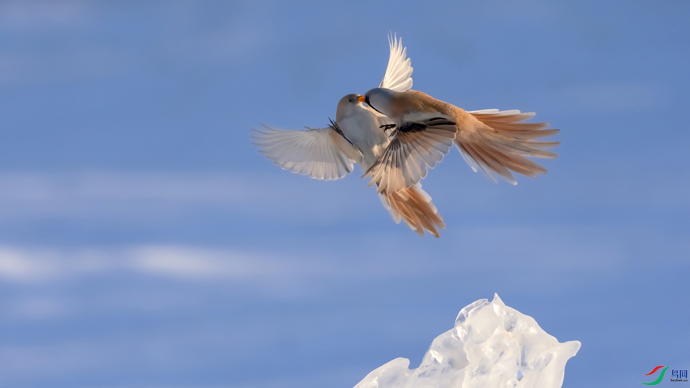 DSC04521 ����.jpg