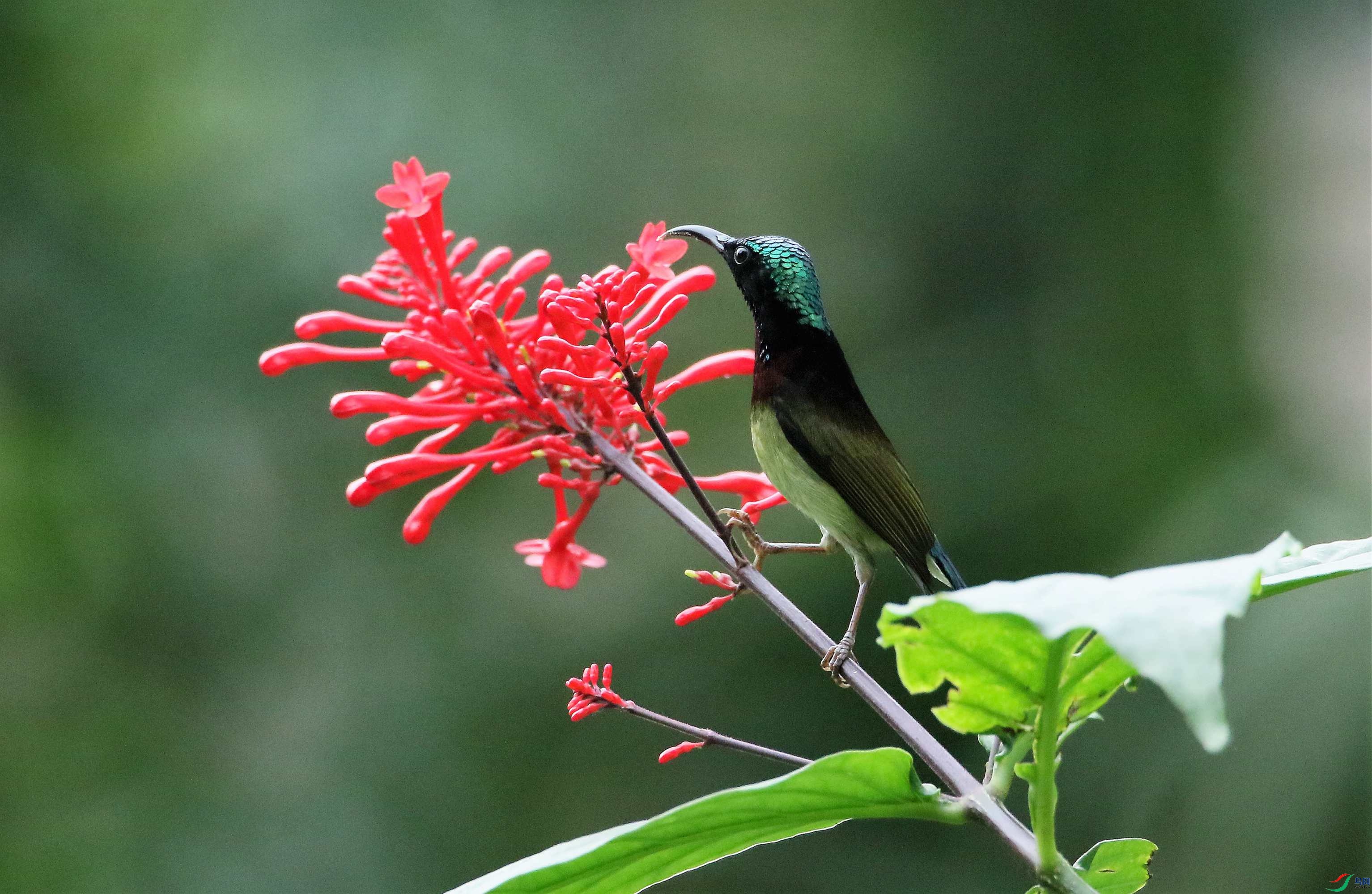 ��β̫���� (44).JPG