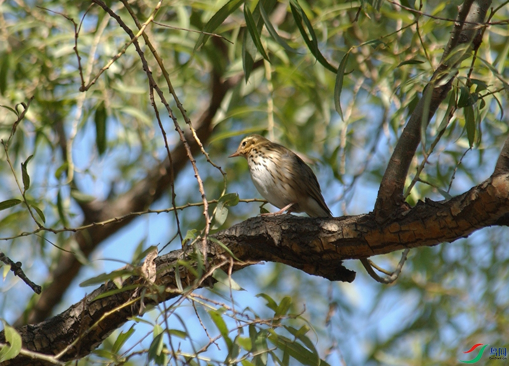 DSC_0625.jpg