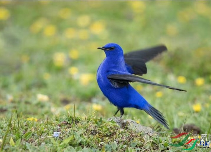 ����  ��ʦ����.jpg