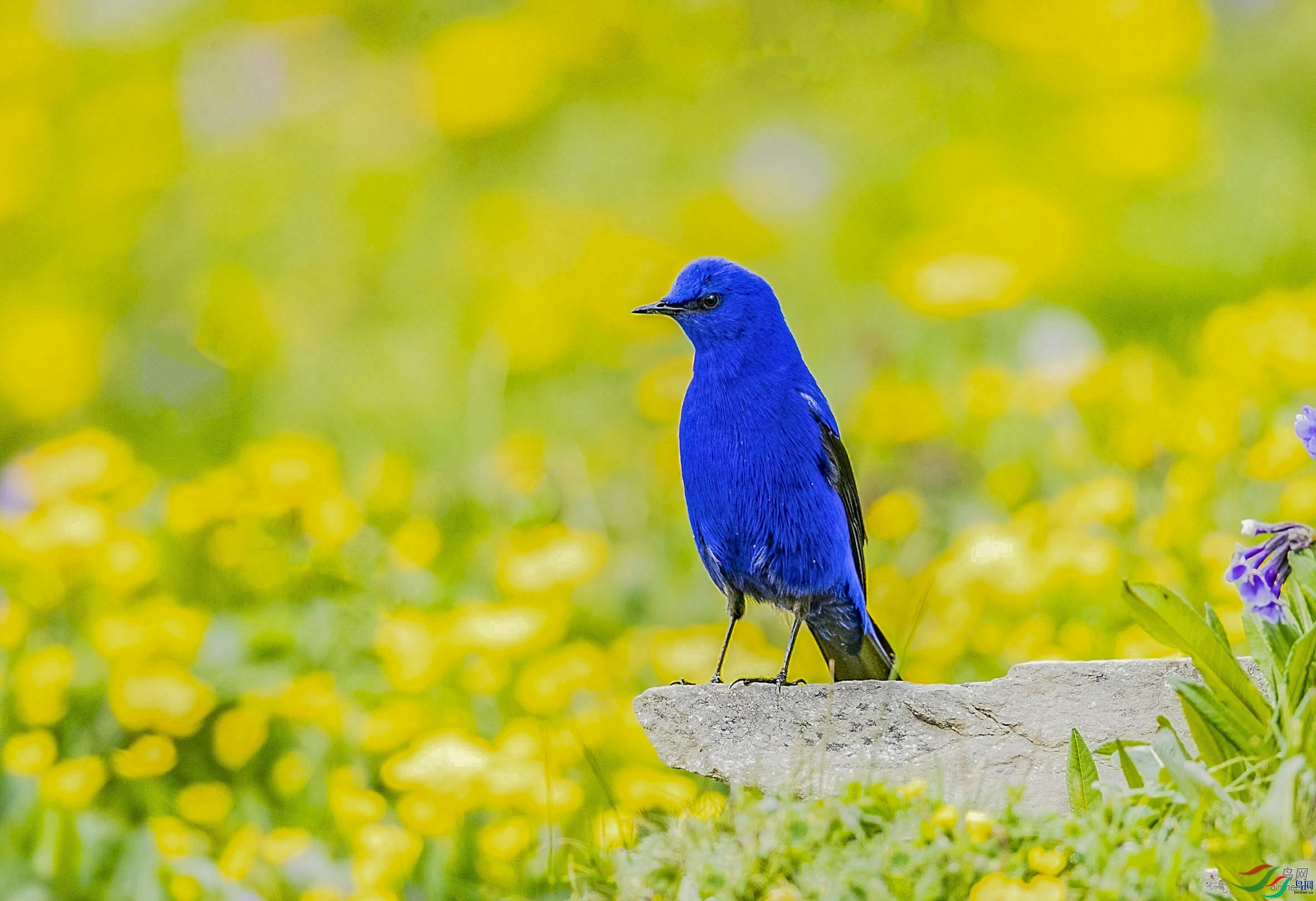 һ���֣����ǣ� ��ʦ�������Ĵ�ʡ���Ӳ���Ǽ���������봨��.jpg