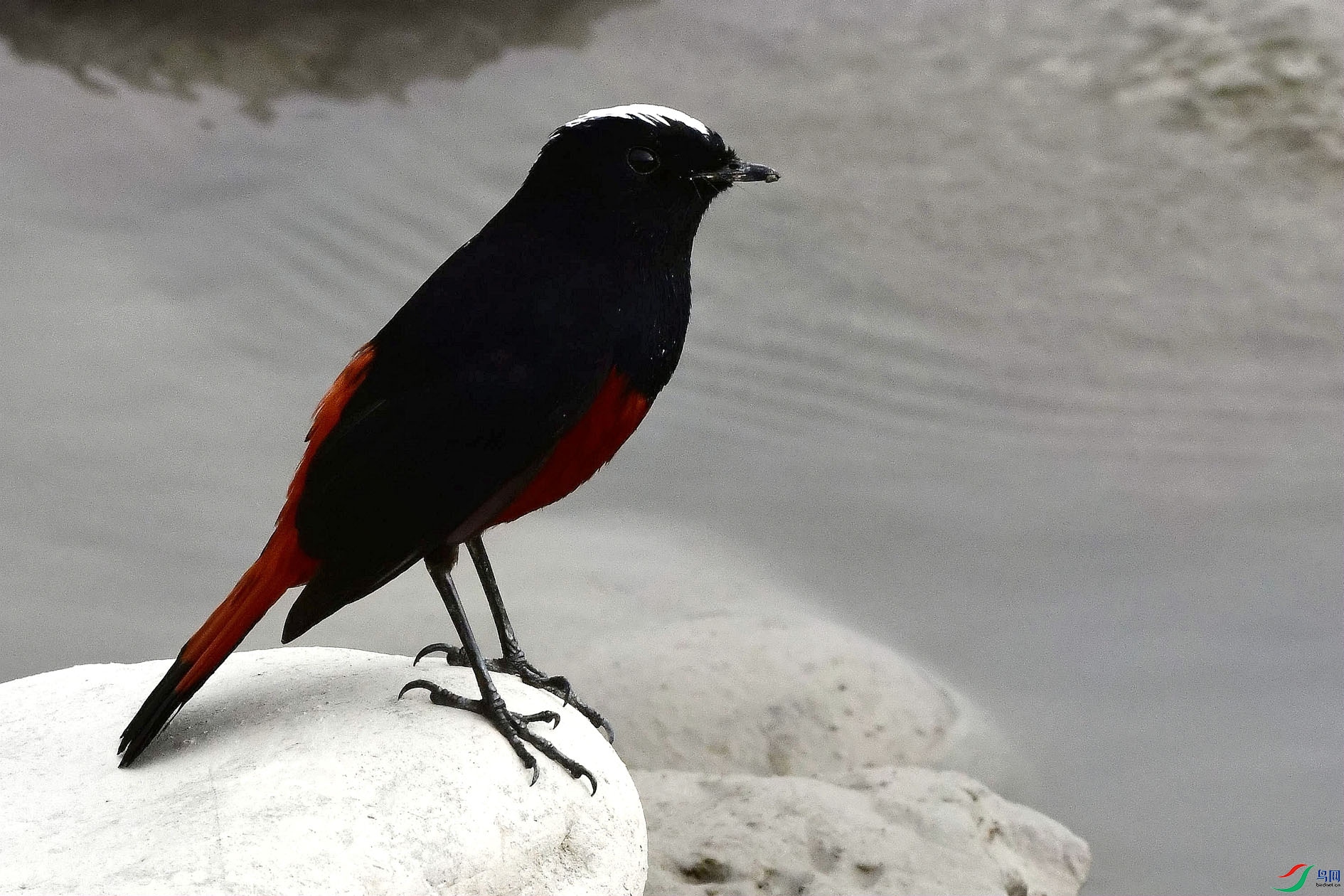 DSC_7426_����.jpg