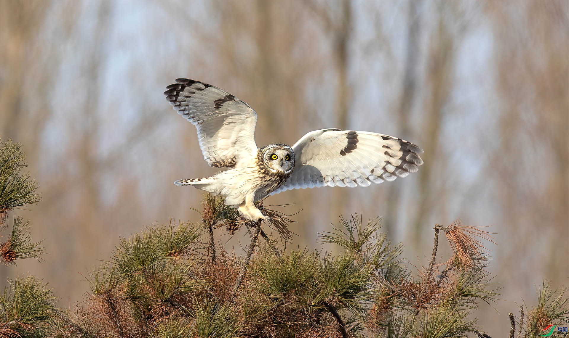 1DX_8023 ����.jpg