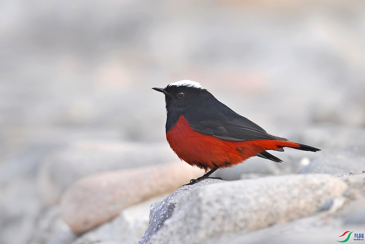 DSC_1030 ����.jpg