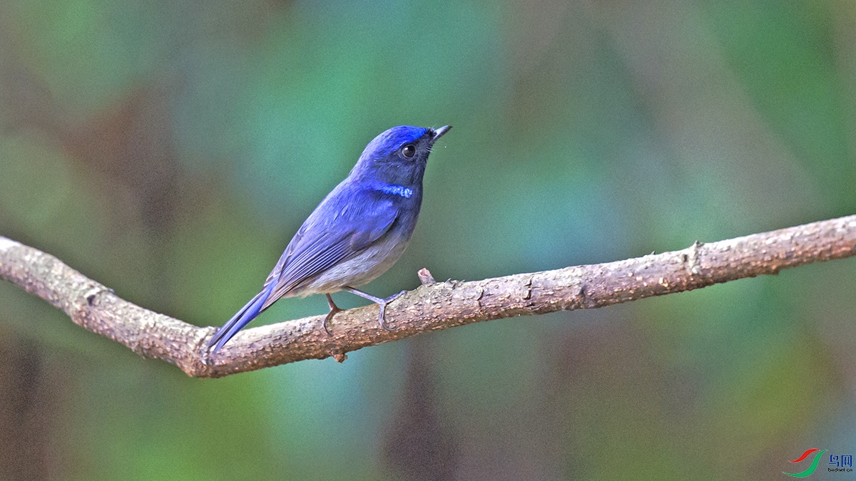 ��LPY_0100.jpg