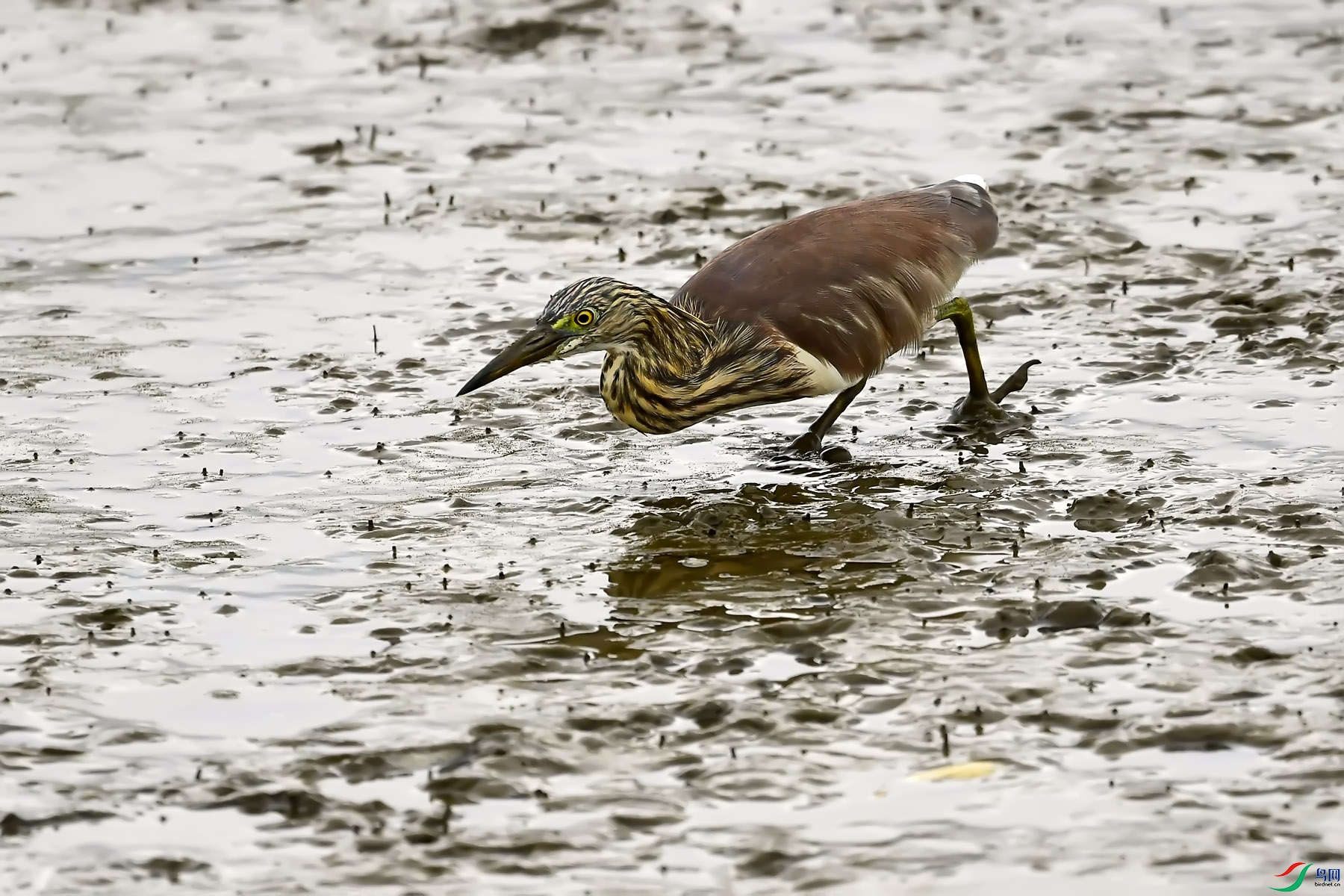 DSC_7157.jpg