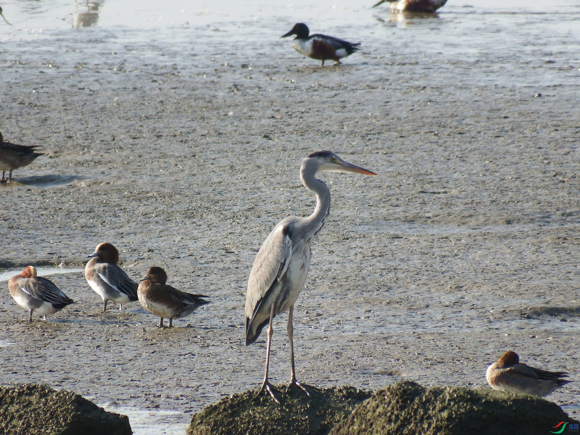 S0507117_����.jpg