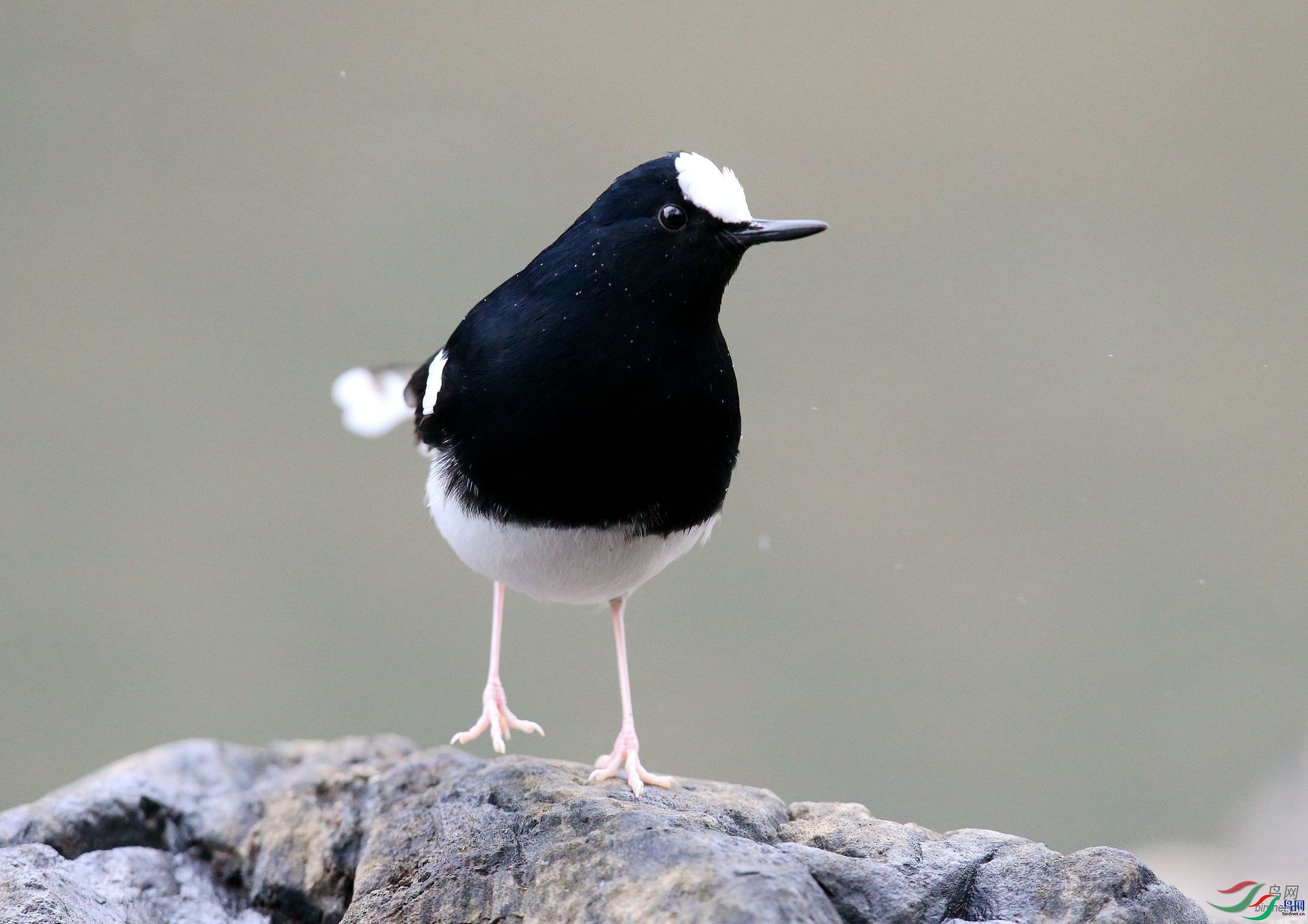 ��������  ��ʦ����.jpg