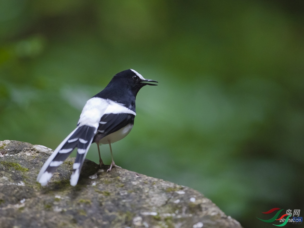 ��������  ��ʦ����������ʡ�º���徰����������ӯ����.jpg