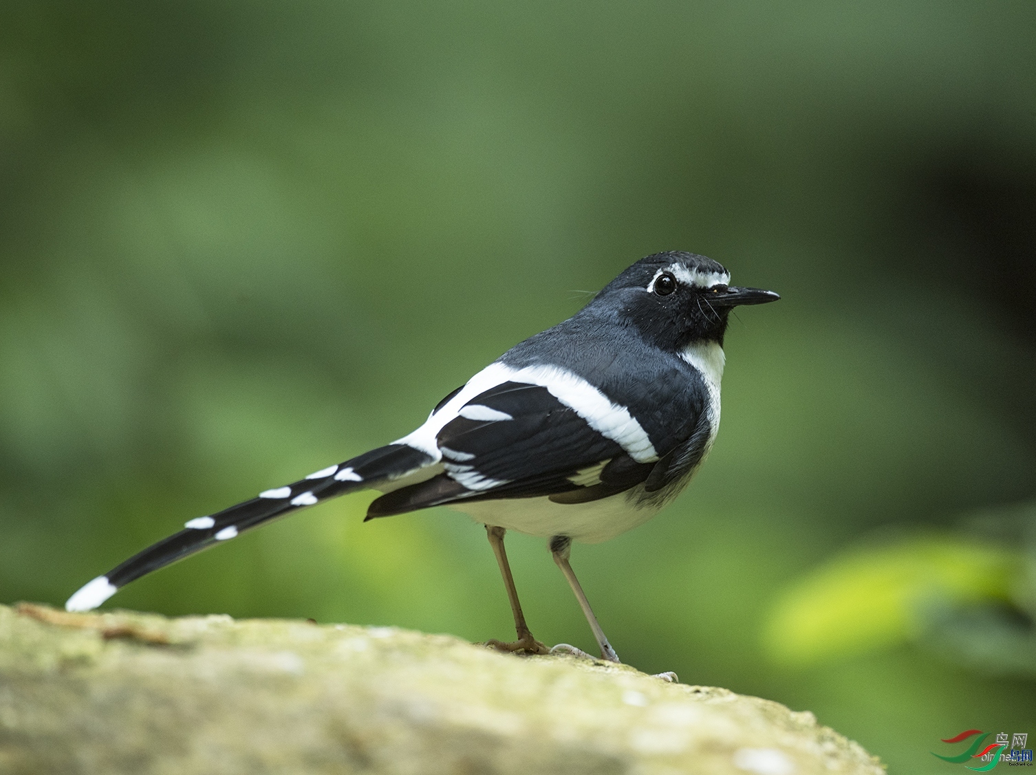 ��Ӱ����  ��ʦ����������ʡ�º���徰����������ӯ����.jpg