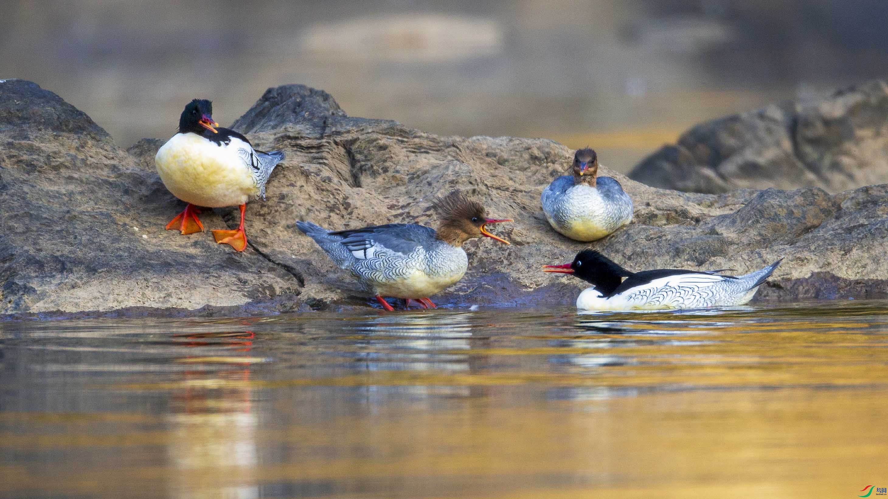 AV5R1852 ����2 ����.jpg