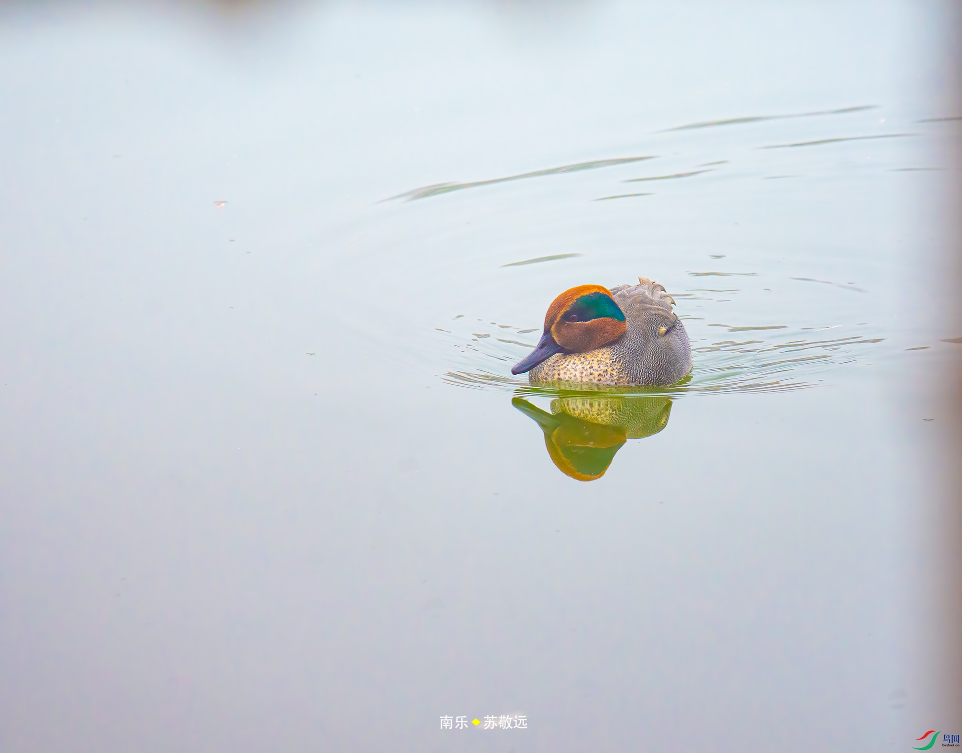 _DSC3697С.jpg