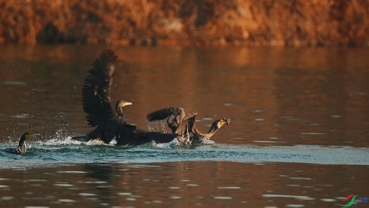 2022-01-04 22-43-15.jpg