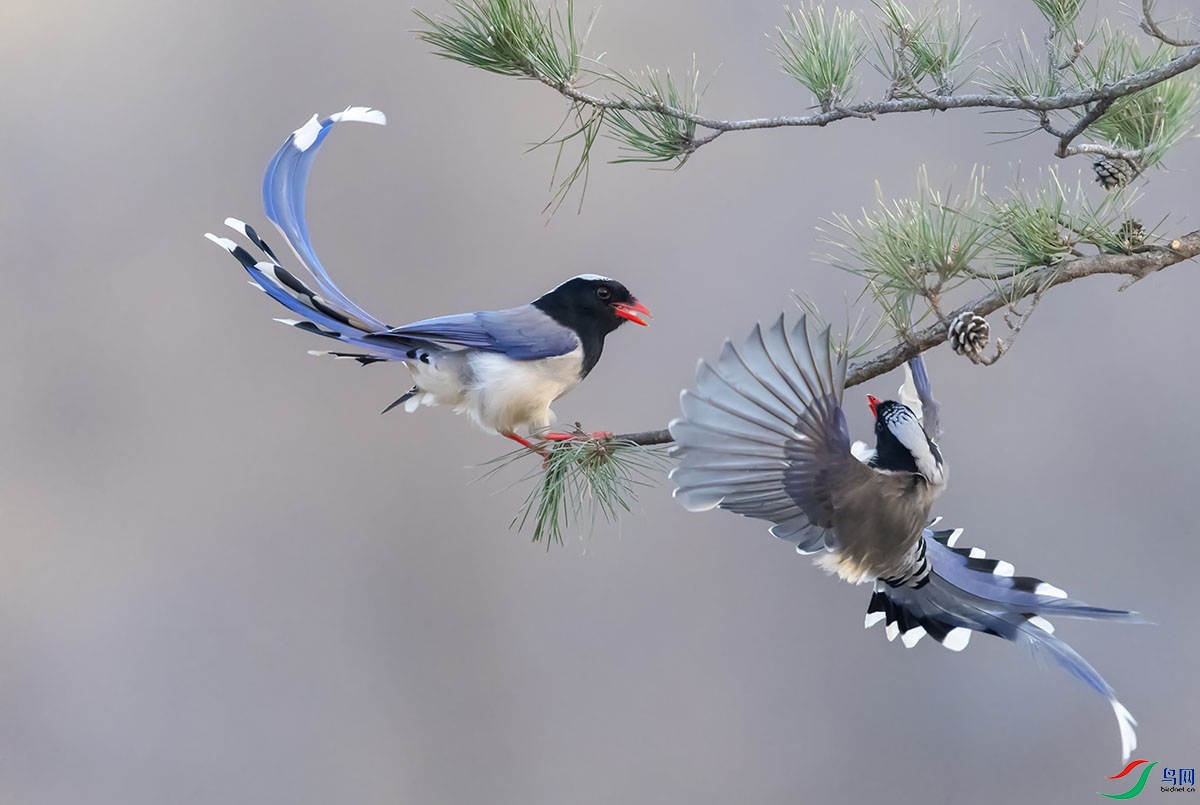 _DSC4928.jpg-.jpg-1 - ����.jpg