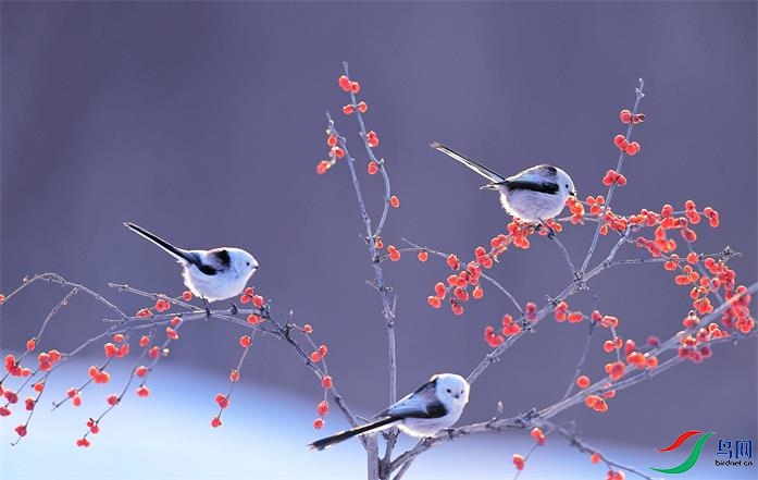 δ����_��������βȸ(1).jpg