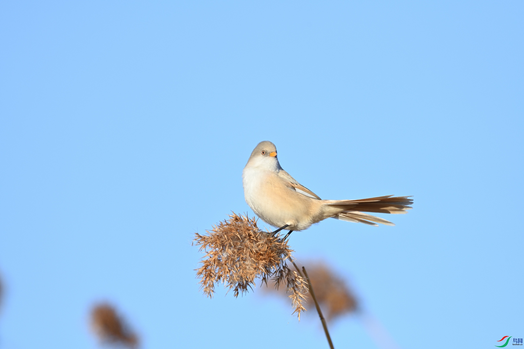 DSC_0782.JPG