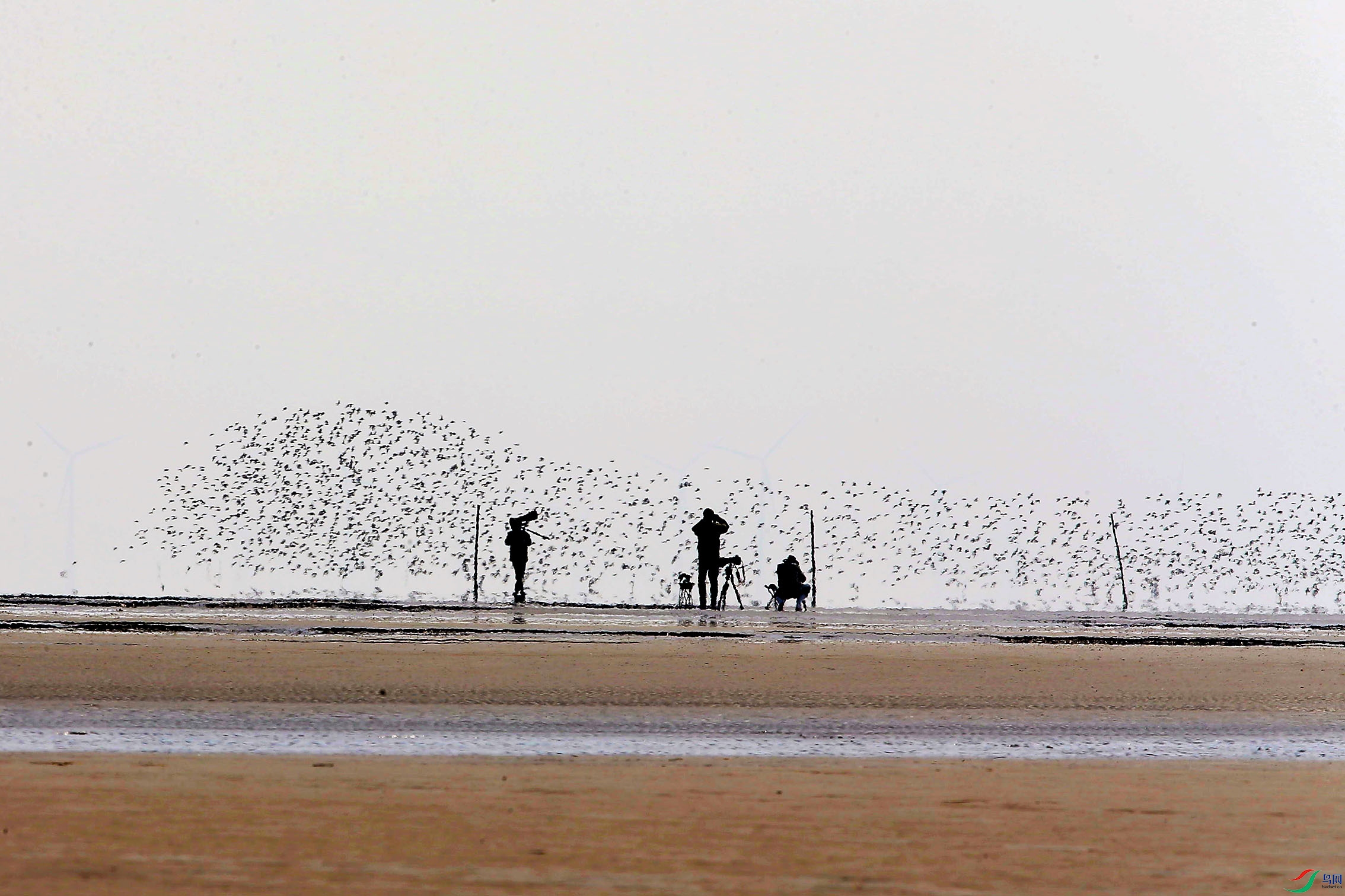 17��ȥ��������������ʱ��ԭƬ