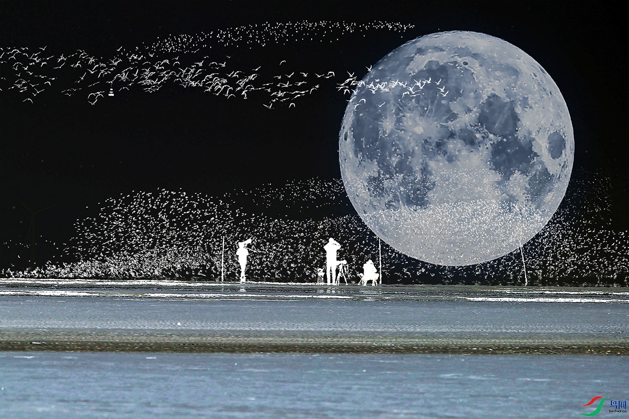 ������һ��